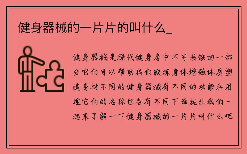 健身器械的一片片的叫什么_