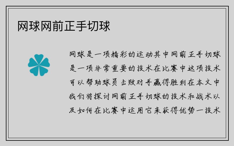 网球网前正手切球