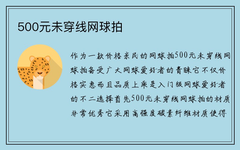 500元未穿线网球拍