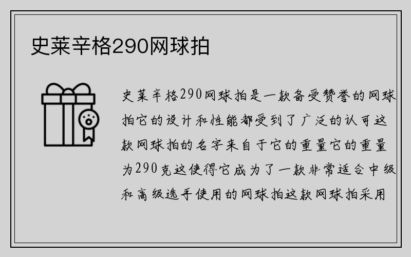 史莱辛格290网球拍