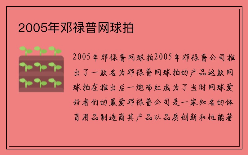 2005年邓禄普网球拍